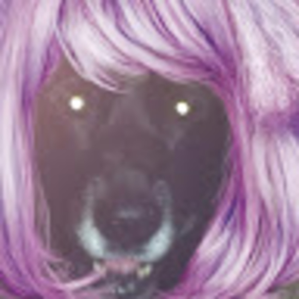 Meet your Posher, Jenna